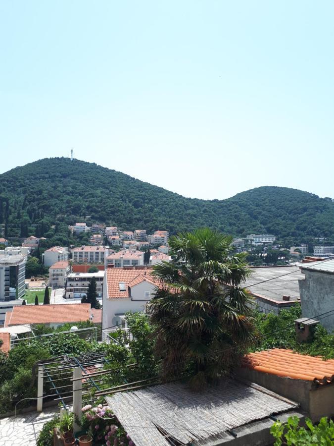 Apartman Maja Apartman Dubrovnik Kültér fotó